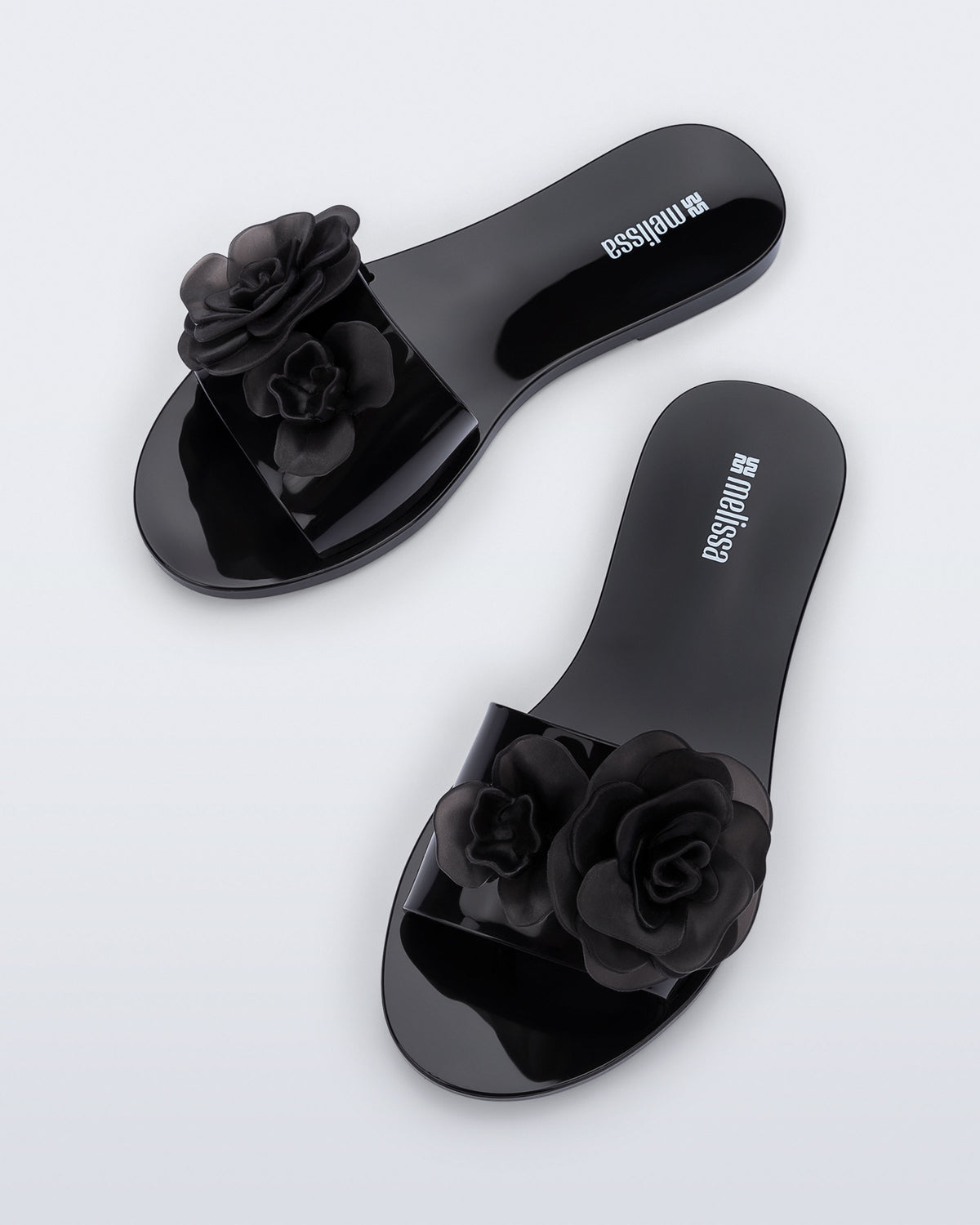 Melissa Babe Petals