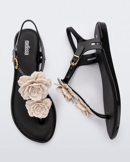 Melissa Solar Springtime