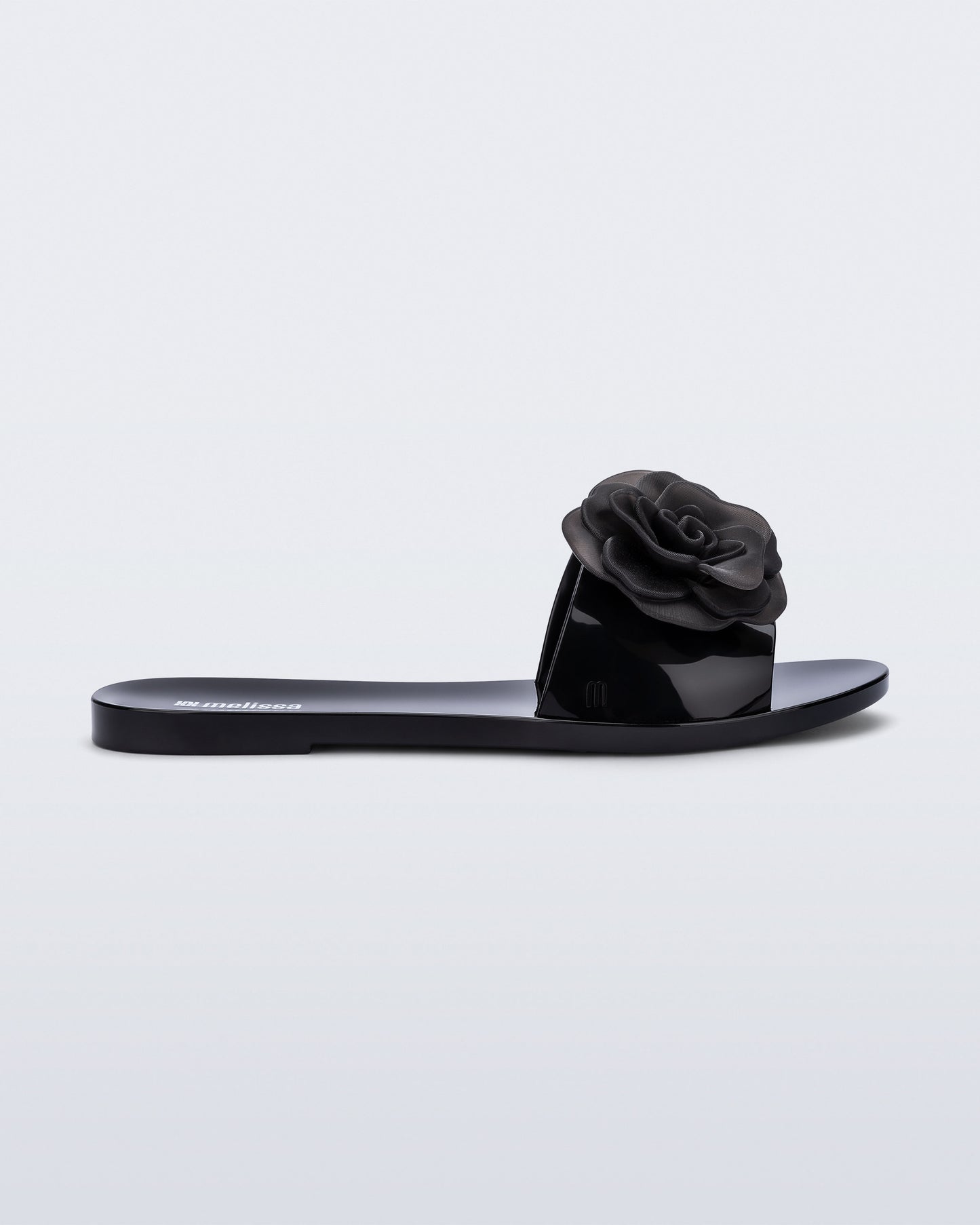 Melissa Babe Petals