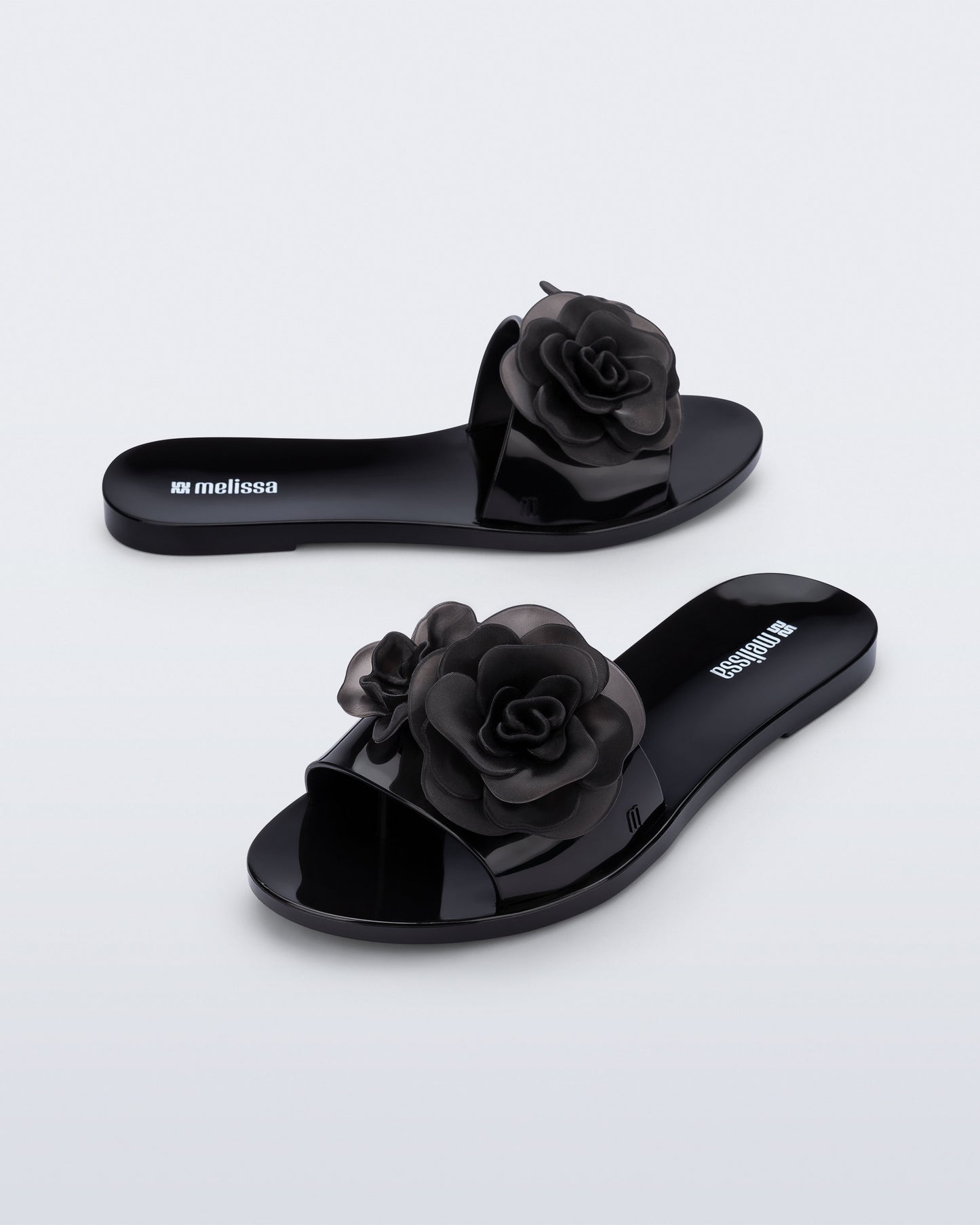 Melissa Babe Petals