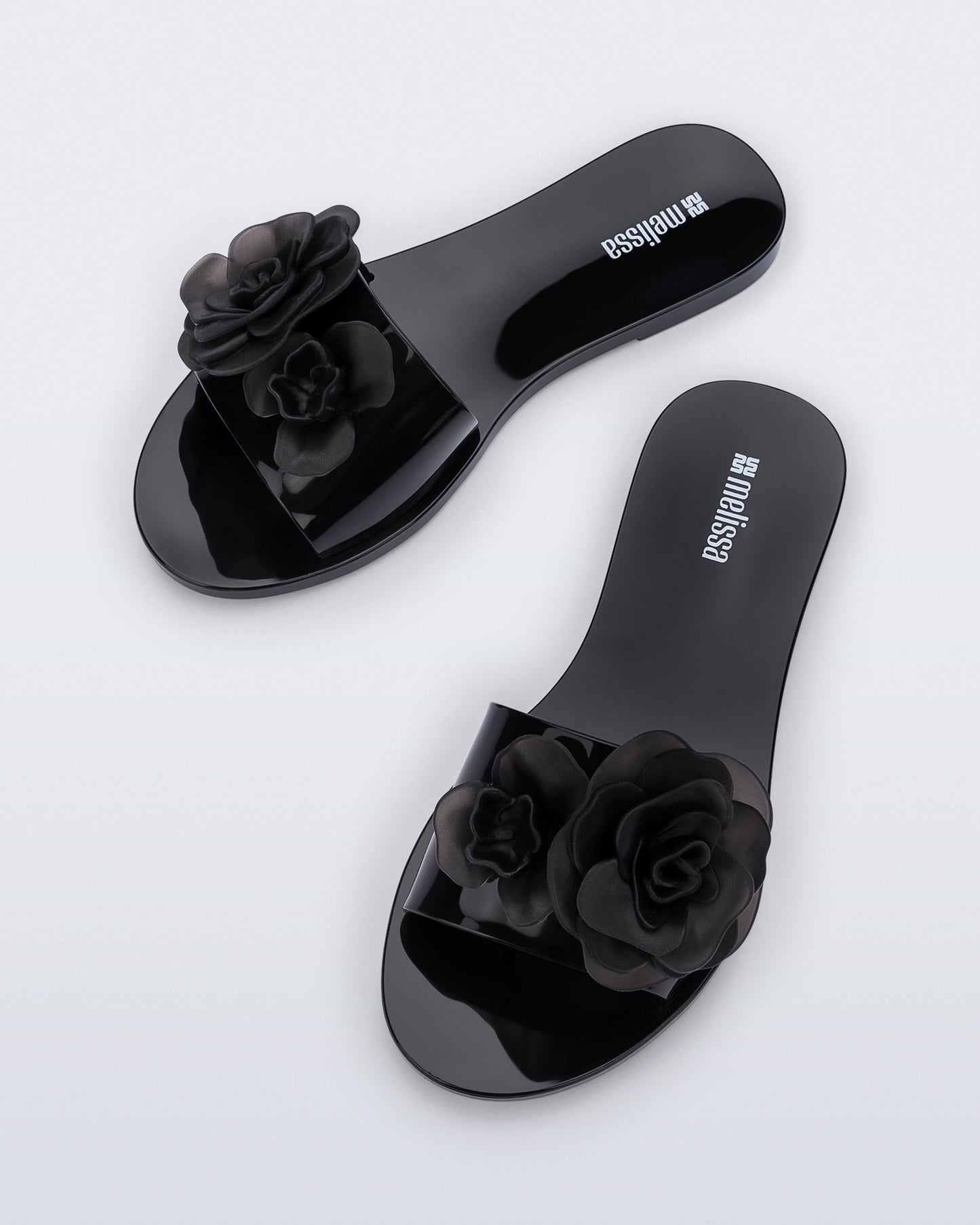 Melissa Babe Petals